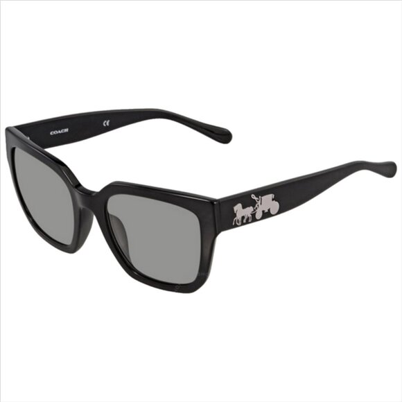 Coach HC8249F Sunglasses Black Light Grey